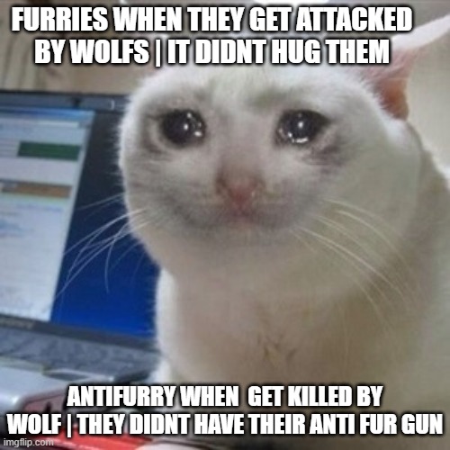 erere | FURRIES WHEN THEY GET ATTACKED BY WOLFS | IT DIDNT HUG THEM; ANTIFURRY WHEN  GET KILLED BY WOLF | THEY DIDNT HAVE THEIR ANTI FUR GUN | image tagged in crying cat | made w/ Imgflip meme maker