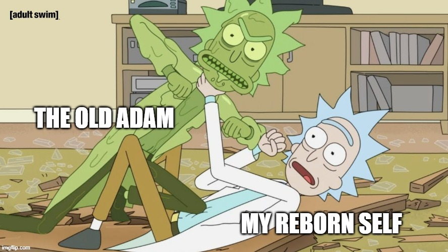 flesh vs. spirit | THE OLD ADAM; MY REBORN SELF | image tagged in toxic rick fight | made w/ Imgflip meme maker