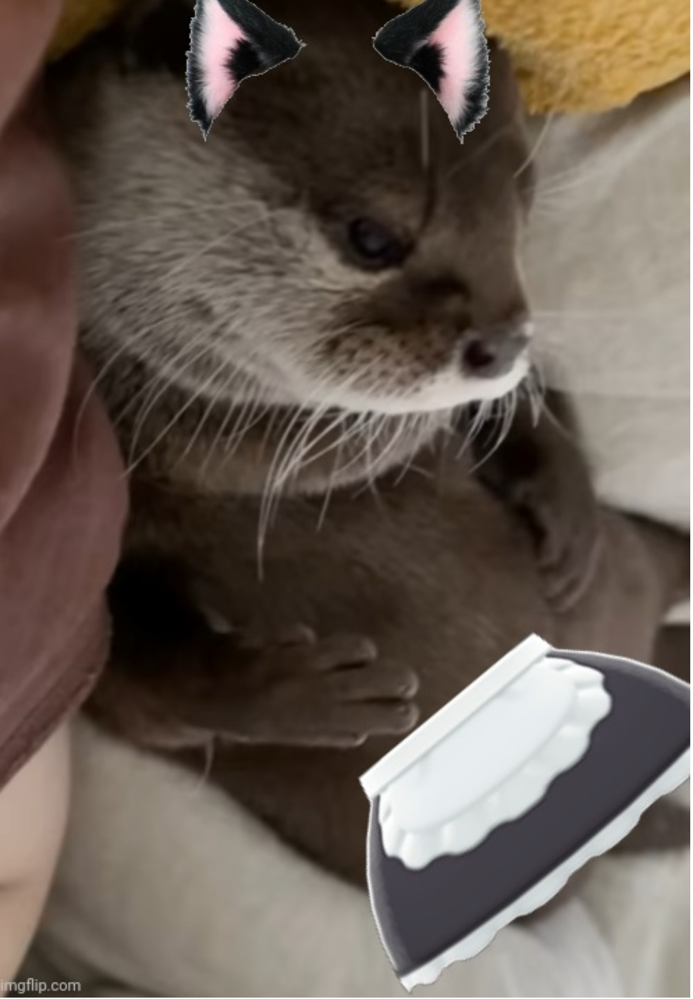 High Quality Kotaro Cute Femboy Otter Blank Meme Template