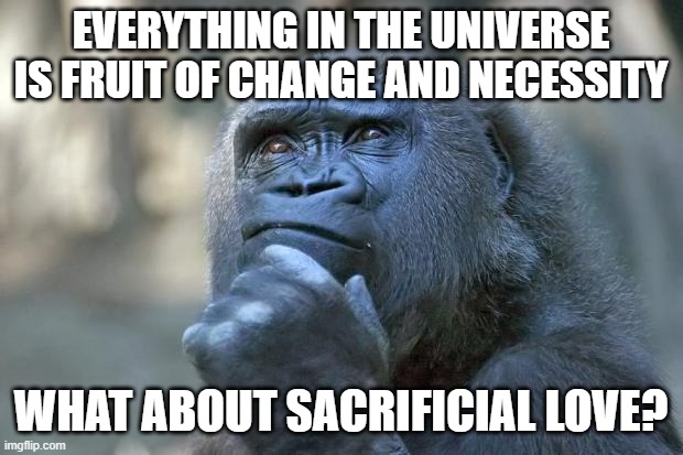 Better Thinking | EVERYTHING IN THE UNIVERSE IS FRUIT OF CHANGE AND NECESSITY; WHAT ABOUT SACRIFICIAL LOVE? | image tagged in that is the question,evolution,jesus christ,sacrifice,true love | made w/ Imgflip meme maker