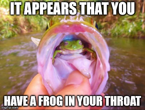 Wise Frog | IT APPEARS THAT YOU HAVE A FROG IN YOUR THROAT | image tagged in wise frog | made w/ Imgflip meme maker