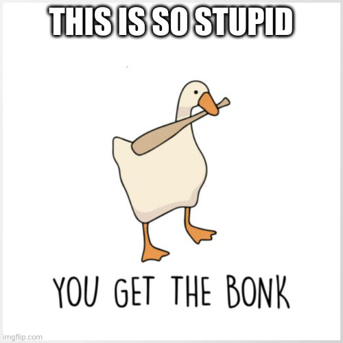You win bonk | THIS IS SO STUPID | image tagged in you get the bonk,so stupid,memes,duck,bat,wake up | made w/ Imgflip meme maker