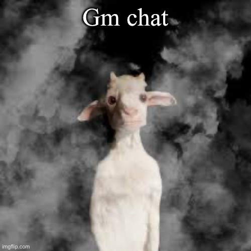 Gm chat | made w/ Imgflip meme maker
