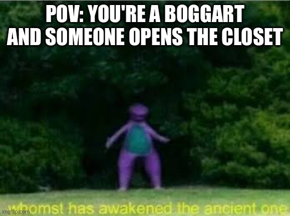 Whomst has awakened the ancient one | POV: YOU'RE A BOGGART AND SOMEONE OPENS THE CLOSET | image tagged in whomst has awakened the ancient one | made w/ Imgflip meme maker