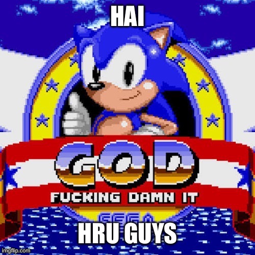 god fucking damn it | HAI; HRU GUYS | image tagged in god fucking damn it | made w/ Imgflip meme maker