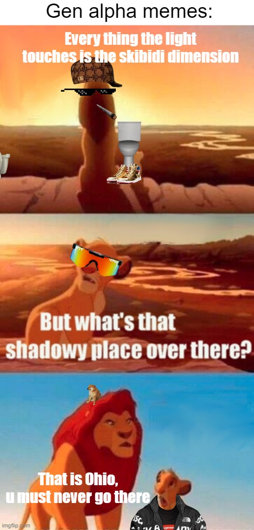 Its tru tho | Gen alpha memes:; Every thing the light touches is the skibidi dimension; That is Ohio, u must never go there | image tagged in memes,simba shadowy place,funny memes,gen alpha | made w/ Imgflip meme maker