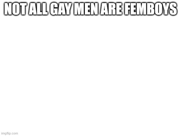 NOT ALL GAY MEN ARE FEMBOYS | made w/ Imgflip meme maker