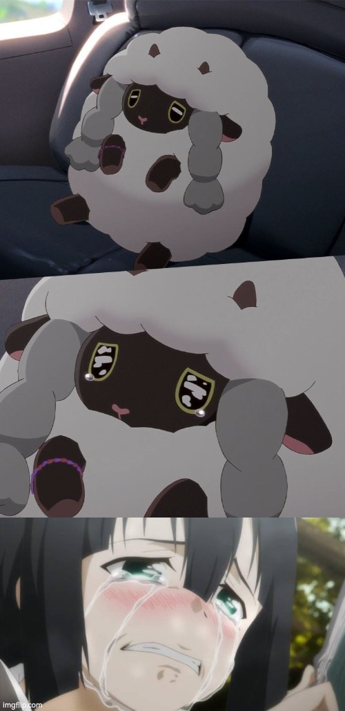 Give Wooloo a hug! | image tagged in wooloo,crying | made w/ Imgflip meme maker