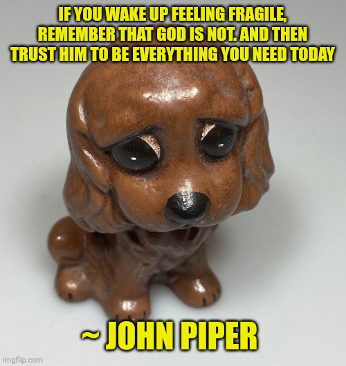 Sad dog | IF YOU WAKE UP FEELING FRAGILE, REMEMBER THAT GOD IS NOT. AND THEN TRUST HIM TO BE EVERYTHING YOU NEED TODAY; ~ JOHN PIPER | image tagged in sad dog | made w/ Imgflip meme maker