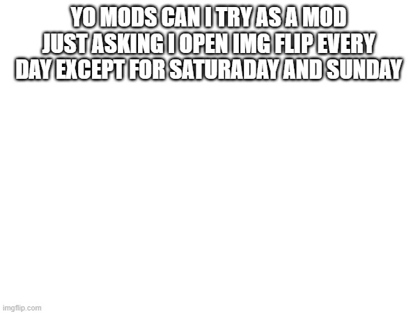 just asking | YO MODS CAN I TRY AS A MOD JUST ASKING I OPEN IMG FLIP EVERY DAY EXCEPT FOR SATURADAY AND SUNDAY | image tagged in mods | made w/ Imgflip meme maker