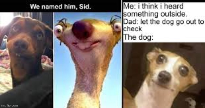 ... | image tagged in funny,sid,memes,haha,goofy | made w/ Imgflip meme maker