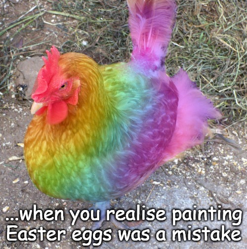 Rainbow Easter chickens | ...when you realise painting Easter eggs was a mistake | image tagged in gay,eggs,easter eggs | made w/ Imgflip meme maker