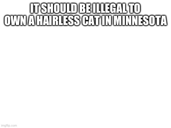 IT SHOULD BE ILLEGAL TO OWN A HAIRLESS CAT IN MINNESOTA | made w/ Imgflip meme maker