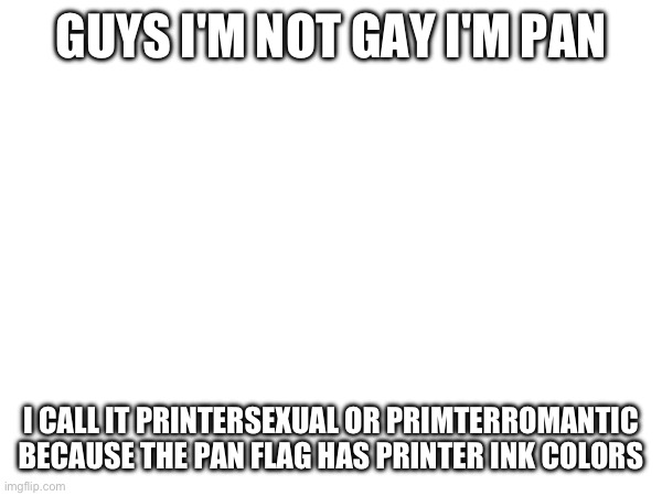 GUYS I'M NOT GAY I'M PAN; I CALL IT PRINTERSEXUAL OR PRIMTERROMANTIC BECAUSE THE PAN FLAG HAS PRINTER INK COLORS | made w/ Imgflip meme maker