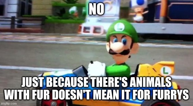 Luigi Death Stare | NO JUST BECAUSE THERE'S ANIMALS WITH FUR DOESN'T MEAN IT FOR FURRYS | image tagged in luigi death stare | made w/ Imgflip meme maker
