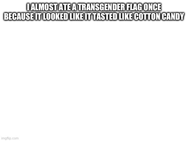 I ALMOST ATE A TRANSGENDER FLAG ONCE BECAUSE IT LOOKED LIKE IT TASTED LIKE COTTON CANDY | made w/ Imgflip meme maker
