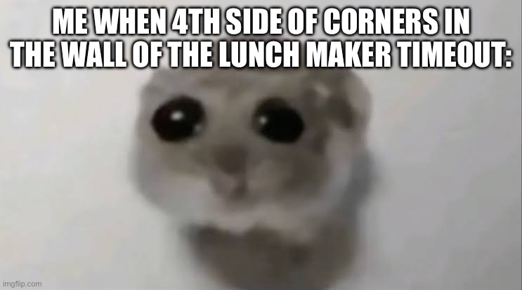 Sad Hamster | ME WHEN 4TH SIDE OF CORNERS IN THE WALL OF THE LUNCH MAKER TIMEOUT: | image tagged in sad hamster | made w/ Imgflip meme maker