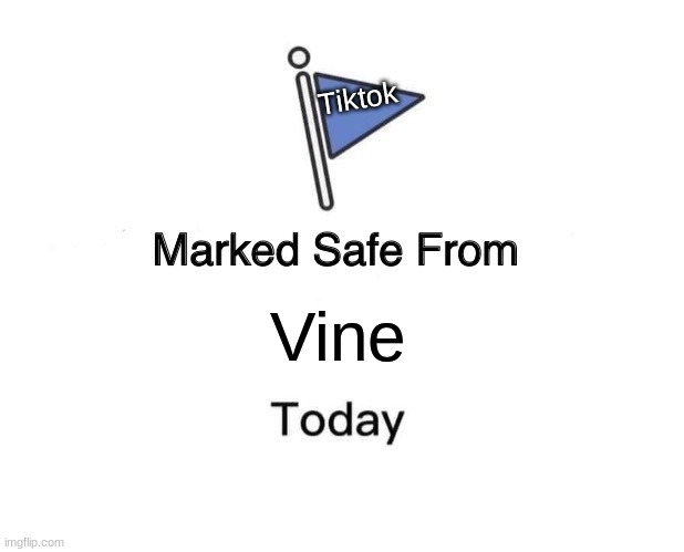 Marked Safe From Meme | Tiktok; Vine | image tagged in memes,marked safe from,vine has lost popularity,tiktok sucks | made w/ Imgflip meme maker