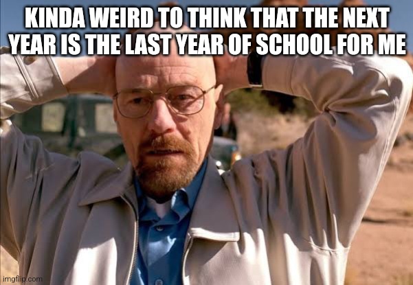 flabbergasted walt | KINDA WEIRD TO THINK THAT THE NEXT YEAR IS THE LAST YEAR OF SCHOOL FOR ME | image tagged in flabbergasted walt | made w/ Imgflip meme maker