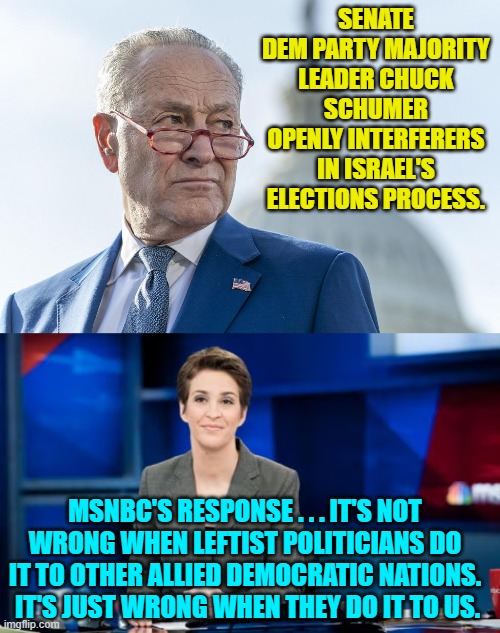 Without double standards what standards would the leftist loyal media possess? | SENATE DEM PARTY MAJORITY LEADER CHUCK SCHUMER OPENLY INTERFERERS IN ISRAEL'S ELECTIONS PROCESS. MSNBC'S RESPONSE . . . IT'S NOT WRONG WHEN LEFTIST POLITICIANS DO IT TO OTHER ALLIED DEMOCRATIC NATIONS.  IT'S JUST WRONG WHEN THEY DO IT TO US. | image tagged in yep | made w/ Imgflip meme maker