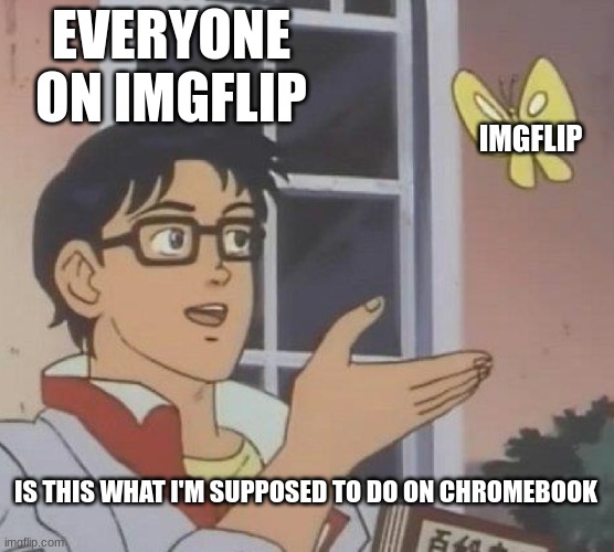 everyone on imgflip episode 96 | EVERYONE ON IMGFLIP; IMGFLIP; IS THIS WHAT I'M SUPPOSED TO DO ON CHROMEBOOK | image tagged in memes,is this a pigeon,funny,fun,imgflip users,school | made w/ Imgflip meme maker