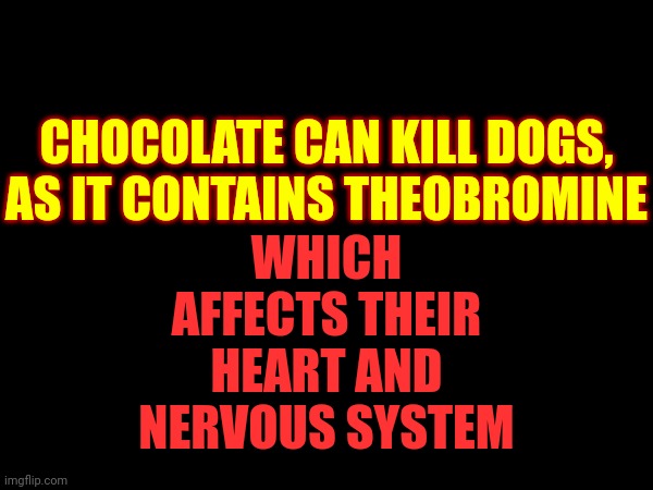 Don't Give ANY Chocolate To Dogs | WHICH AFFECTS THEIR HEART AND NERVOUS SYSTEM; CHOCOLATE CAN KILL DOGS,
AS IT CONTAINS THEOBROMINE | image tagged in poison,dogs,chocolate,don't do it,just don't,memes | made w/ Imgflip meme maker