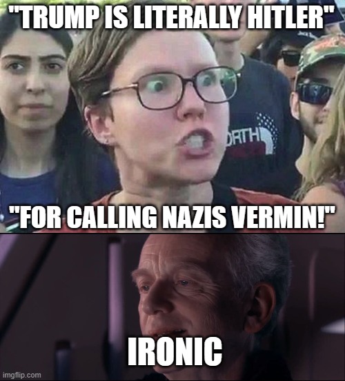 TDS | "TRUMP IS LITERALLY HITLER"; "FOR CALLING NAZIS VERMIN!"; IRONIC | image tagged in triggered liberal,palpatine ironic | made w/ Imgflip meme maker