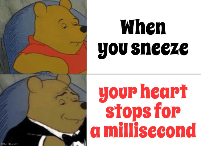 No.  You Can't Die From A Sneeze Fit | When you sneeze; your heart stops for a millisecond | image tagged in memes,tuxedo winnie the pooh,sneeze,sneezing,death,heartbeat rate | made w/ Imgflip meme maker