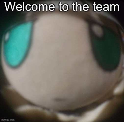 Fumo stare | Welcome to the team | image tagged in fumo stare | made w/ Imgflip meme maker
