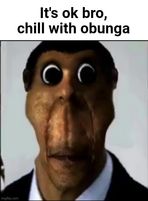 Hehe boi ni- | It's ok bro, chill with obunga | image tagged in memes | made w/ Imgflip meme maker