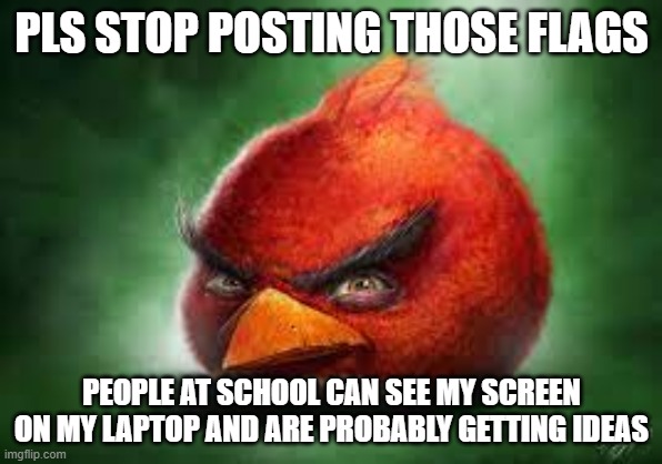 /hj | PLS STOP POSTING THOSE FLAGS; PEOPLE AT SCHOOL CAN SEE MY SCREEN ON MY LAPTOP AND ARE PROBABLY GETTING IDEAS | image tagged in realistic red angry birds | made w/ Imgflip meme maker