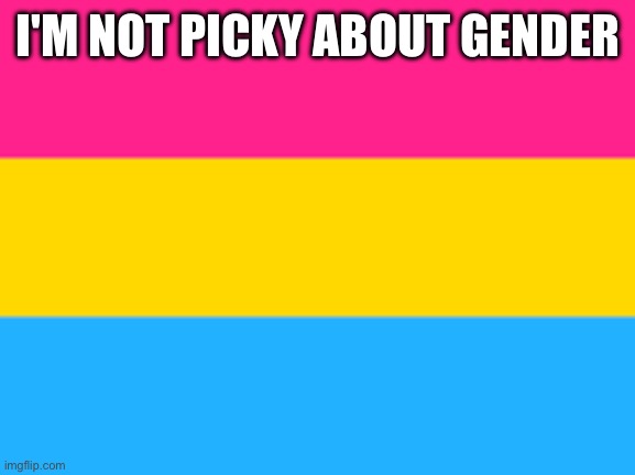 Pansexual flag | I'M NOT PICKY ABOUT GENDER | image tagged in pansexual flag | made w/ Imgflip meme maker