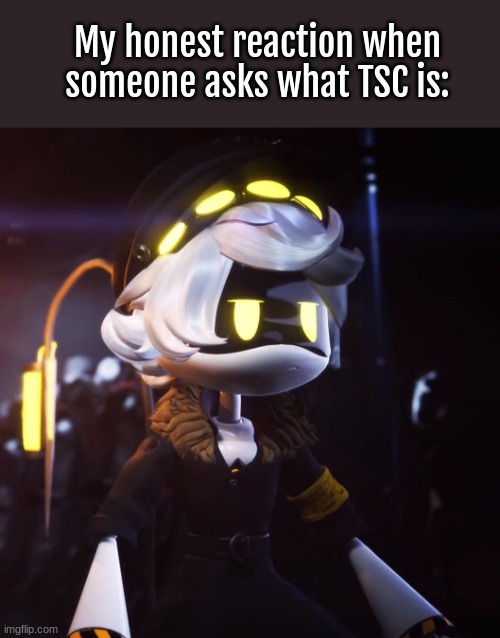 N Dissatisfied | My honest reaction when someone asks what TSC is: | image tagged in stop asking what tsc is,or else | made w/ Imgflip meme maker