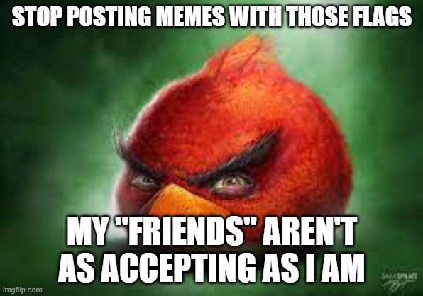 If u keep doing it, some person in my school gonna make a imgflip account or smh, and have msmg brainrot them as well | STOP POSTING MEMES WITH THOSE FLAGS; MY "FRIENDS" AREN'T AS ACCEPTING AS I AM | image tagged in realistic red angry birds | made w/ Imgflip meme maker