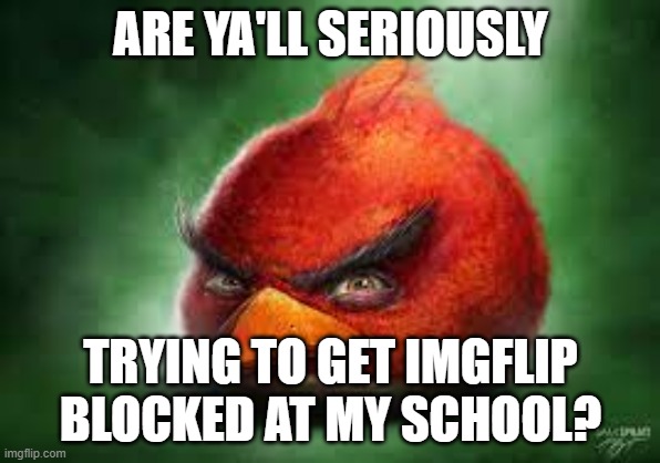 Realistic Red Angry Birds | ARE YA'LL SERIOUSLY; TRYING TO GET IMGFLIP BLOCKED AT MY SCHOOL? | image tagged in realistic red angry birds | made w/ Imgflip meme maker