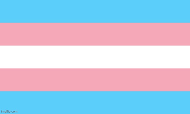 major victory | image tagged in trans flag | made w/ Imgflip meme maker
