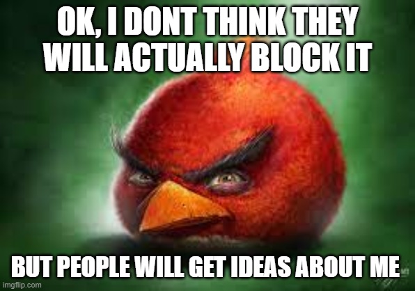 Realistic Red Angry Birds | OK, I DONT THINK THEY WILL ACTUALLY BLOCK IT BUT PEOPLE WILL GET IDEAS ABOUT ME | image tagged in realistic red angry birds | made w/ Imgflip meme maker