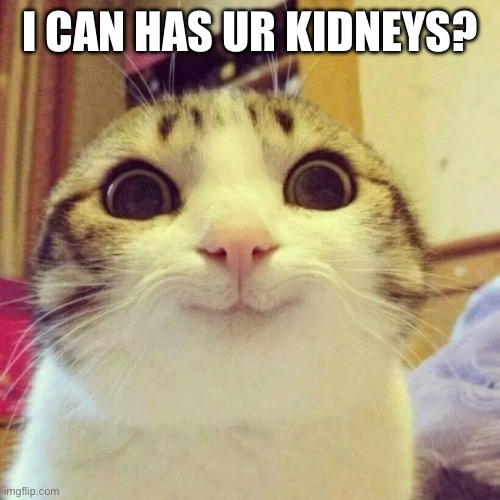Heheheh | I CAN HAS UR KIDNEYS? | image tagged in memes,smiling cat | made w/ Imgflip meme maker