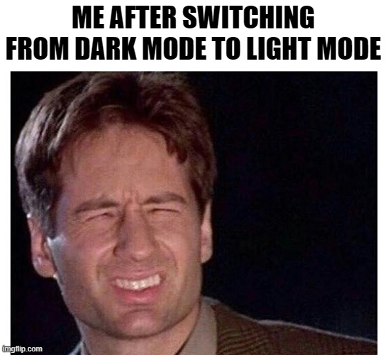 Probably won't get frontpage | ME AFTER SWITCHING FROM DARK MODE TO LIGHT MODE | image tagged in too bright,frontpage,front page plz,plz,why are you reading the tags | made w/ Imgflip meme maker