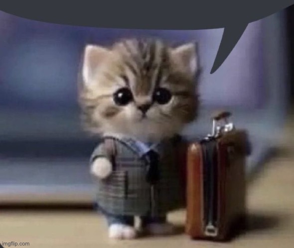 his suitcase is full of illegally obtained money | image tagged in business cat speech bubble | made w/ Imgflip meme maker