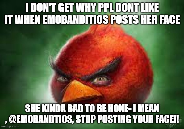 Realistic Red Angry Birds | I DON'T GET WHY PPL DONT LIKE IT WHEN EMOBANDITIOS POSTS HER FACE; SHE KINDA BAD TO BE HONE- I MEAN , @EMOBANDTIOS, STOP POSTING YOUR FACE!! | image tagged in realistic red angry birds | made w/ Imgflip meme maker