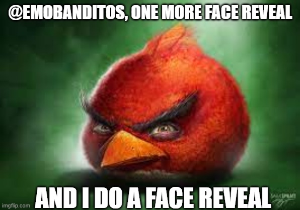 Realistic Red Angry Birds | @EMOBANDITOS, ONE MORE FACE REVEAL; AND I DO A FACE REVEAL | image tagged in realistic red angry birds | made w/ Imgflip meme maker