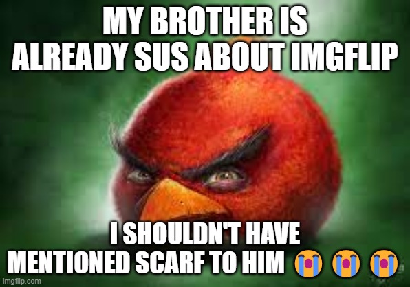 Realistic Red Angry Birds | MY BROTHER IS ALREADY SUS ABOUT IMGFLIP I SHOULDN'T HAVE MENTIONED SCARF TO HIM ??? | image tagged in realistic red angry birds | made w/ Imgflip meme maker