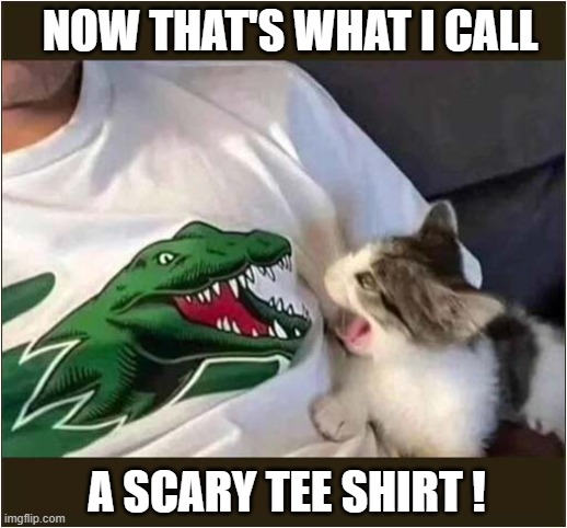 Cat Vs Croc ! | NOW THAT'S WHAT I CALL; A SCARY TEE SHIRT ! | image tagged in cats,crocodile,scary,tee shirt | made w/ Imgflip meme maker