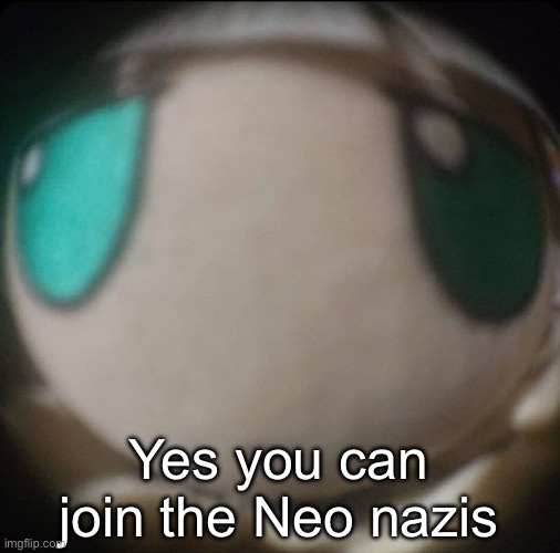 Fumo stare | Yes you can join the Neo nazis | image tagged in fumo stare | made w/ Imgflip meme maker