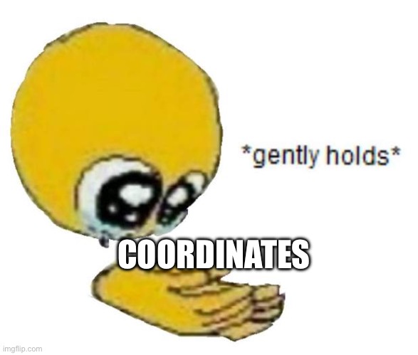 holds gently | COORDINATES | image tagged in holds gently | made w/ Imgflip meme maker