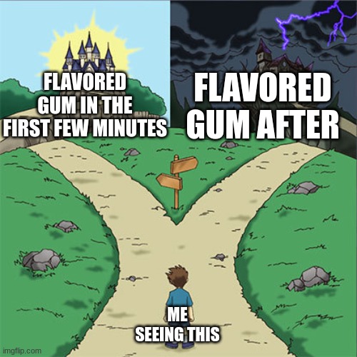 Gum | FLAVORED GUM AFTER; FLAVORED GUM IN THE FIRST FEW MINUTES; ME SEEING THIS | image tagged in two paths,gum,flavor gum,noooooooooooooooooooooooo | made w/ Imgflip meme maker