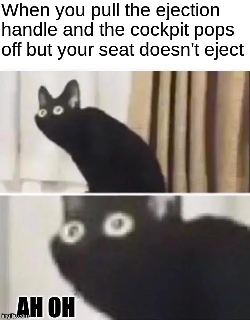 ah oh | When you pull the ejection handle and the cockpit pops off but your seat doesn't eject; AH OH | image tagged in oh no black cat | made w/ Imgflip meme maker