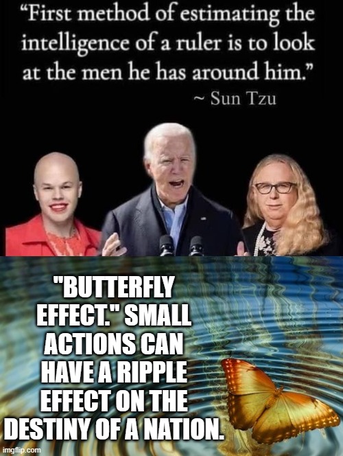 Butterfly Effect | "BUTTERFLY EFFECT." SMALL ACTIONS CAN HAVE A RIPPLE EFFECT ON THE DESTINY OF A NATION. | image tagged in woke,morons,idiots,stupid,sam elliott special kind of stupid | made w/ Imgflip meme maker