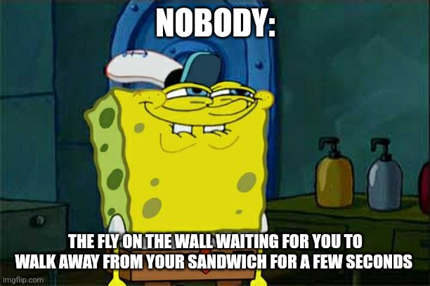 No sandwich for you, lol | NOBODY:; THE FLY ON THE WALL WAITING FOR YOU TO WALK AWAY FROM YOUR SANDWICH FOR A FEW SECONDS | image tagged in memes,don't you squidward,relatable,food memes,jpfan102504 | made w/ Imgflip meme maker